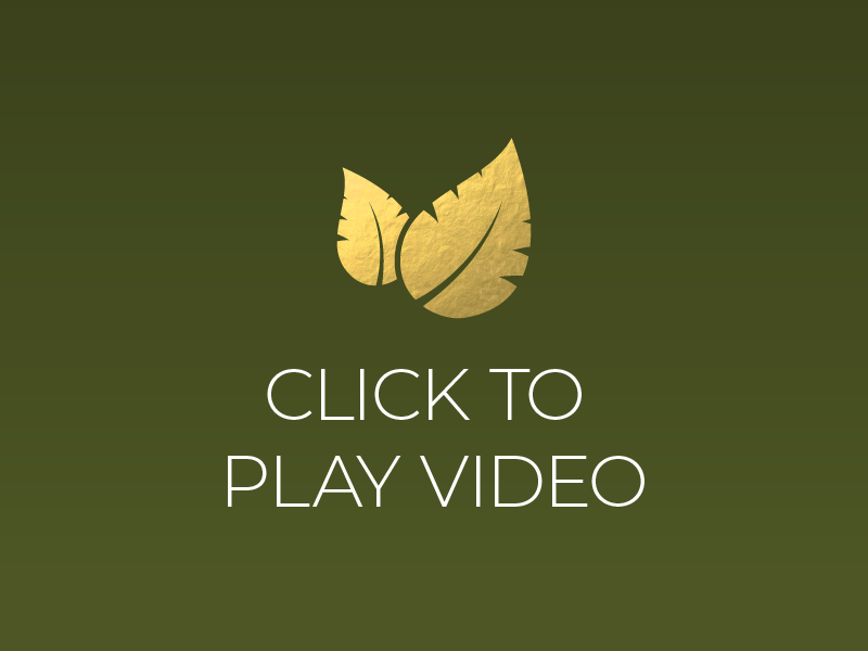 Click to play video